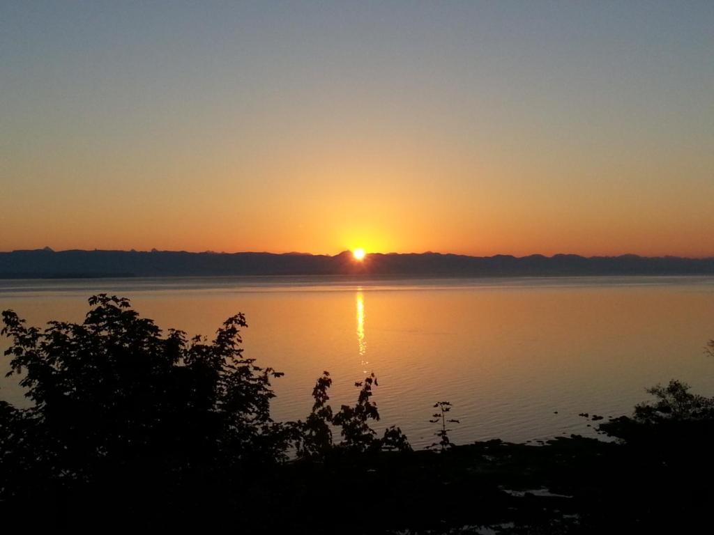 Edgewater Motel Campbell River Luaran gambar